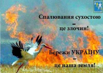 Підпали трави в охоронних зонах ліній електропередачі нині прирівнено до диверсії